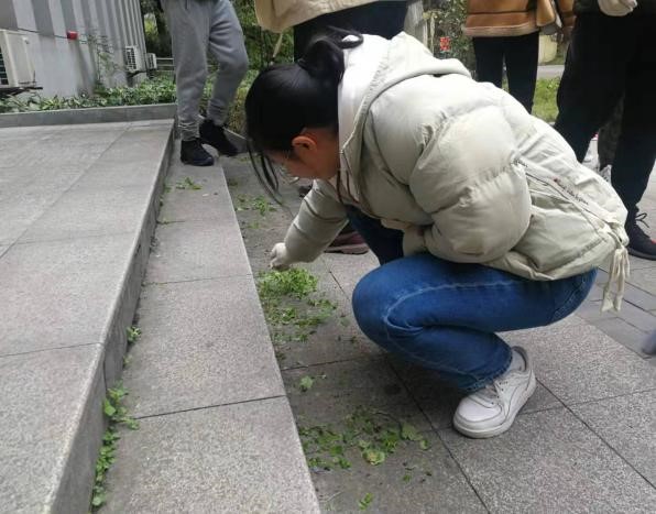 3.jpg 玩球直播直播