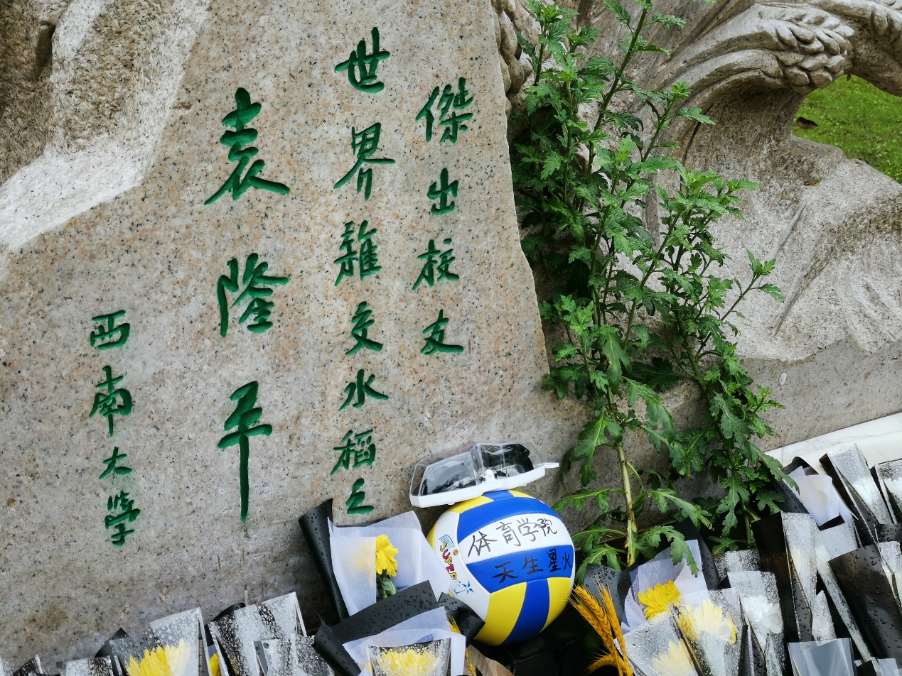 玩球直播体育频道