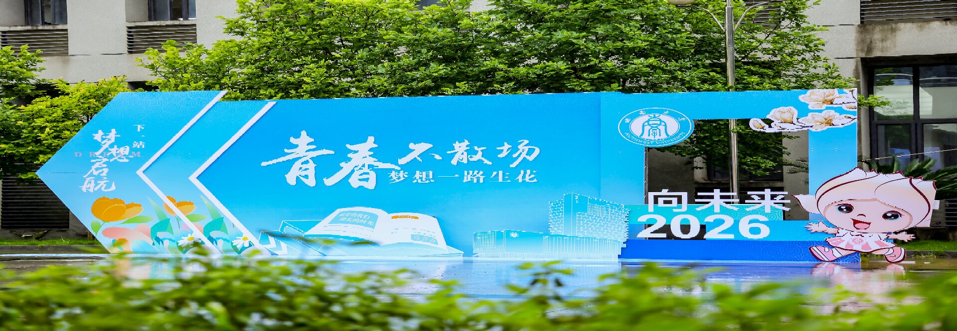 玩球直播安全通道