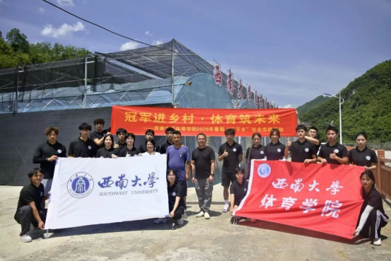 玩球直播官方指定端