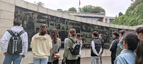 玩球直播APP下载