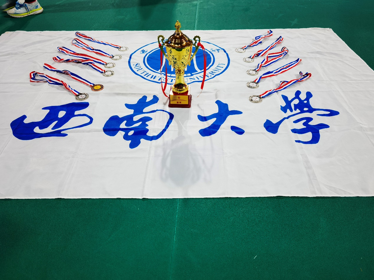 玩球直播平台
